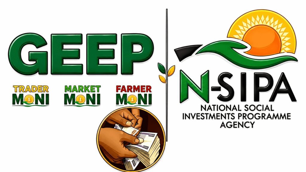GEEP & NSIP